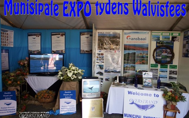 Munisipale EXPO tydens Walvisfees